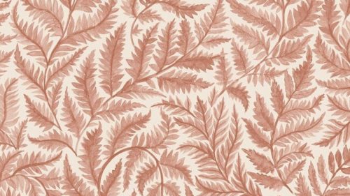Ferns 7791